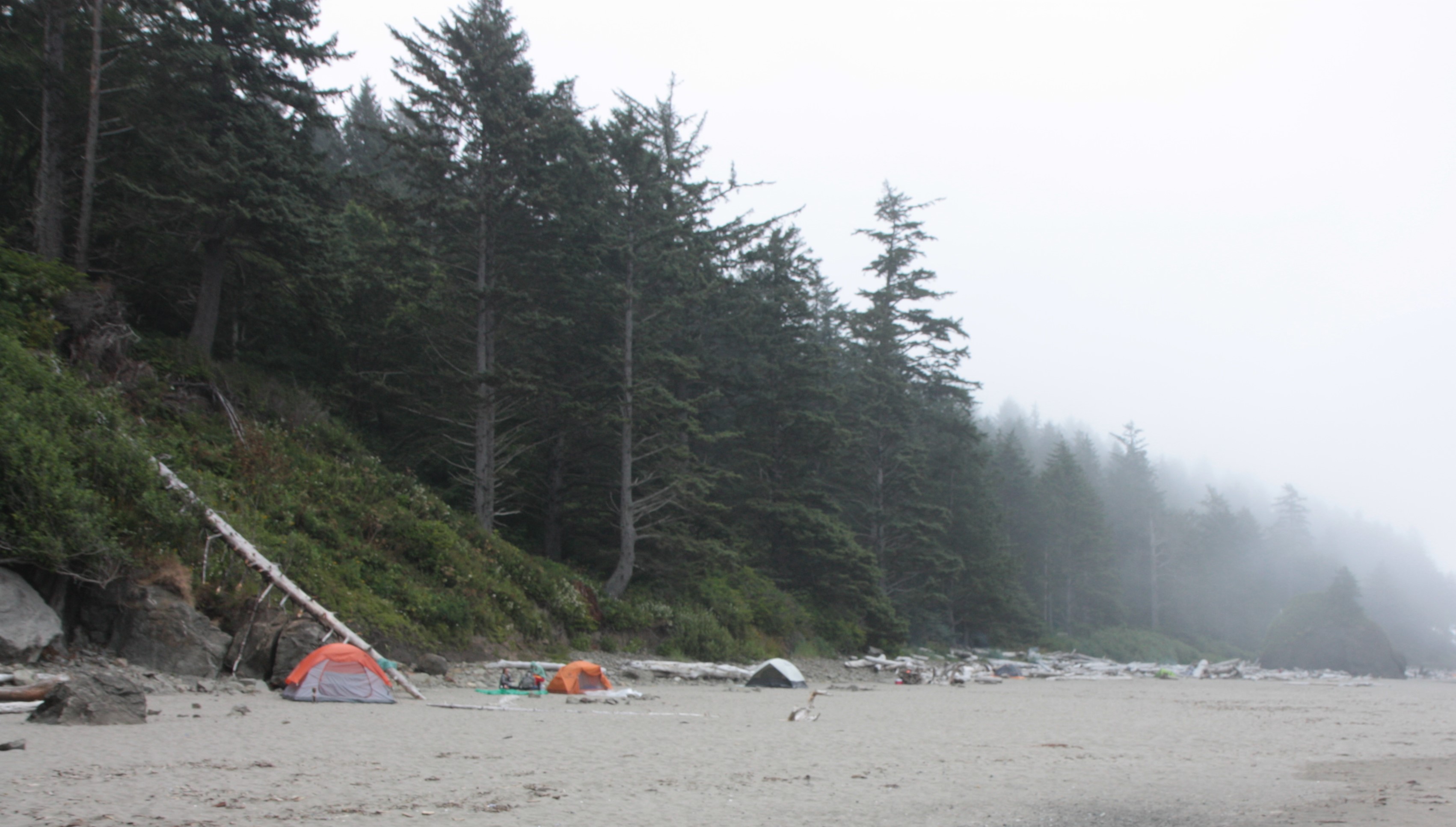 Olympic NP